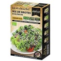 KF - Mix de Brotes...