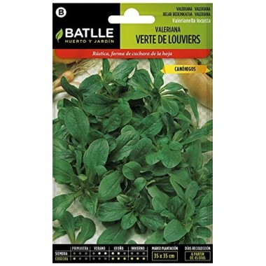 Semillas Valeriana Verte de...