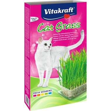 Cat Grass Hierba 120 gr.