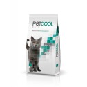 PETCOOL CATS 20 KG